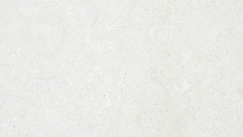 caliza cotton
